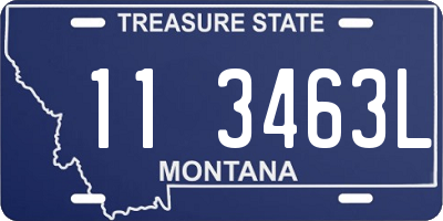 MT license plate 113463L