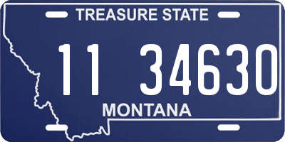 MT license plate 113463O