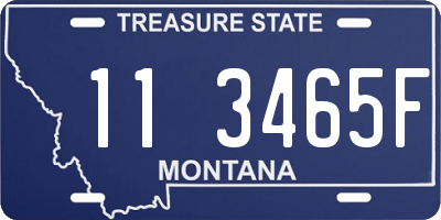 MT license plate 113465F