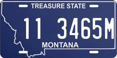 MT license plate 113465M