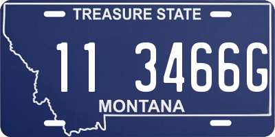 MT license plate 113466G