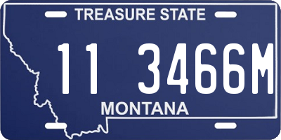 MT license plate 113466M