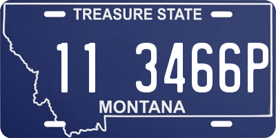 MT license plate 113466P
