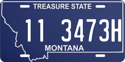 MT license plate 113473H