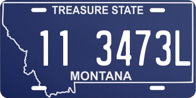 MT license plate 113473L