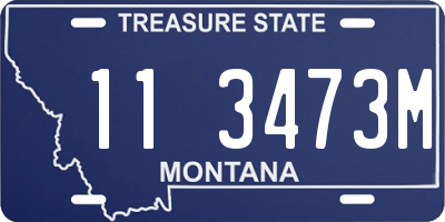 MT license plate 113473M
