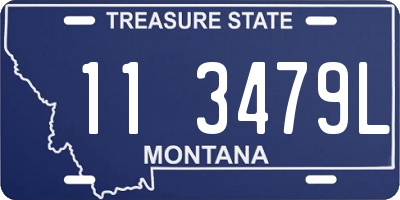 MT license plate 113479L