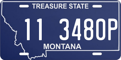 MT license plate 113480P