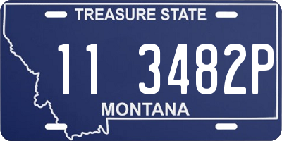 MT license plate 113482P
