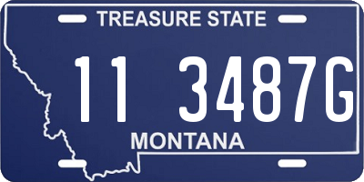 MT license plate 113487G