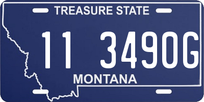 MT license plate 113490G