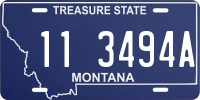 MT license plate 113494A