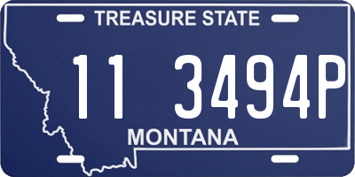 MT license plate 113494P