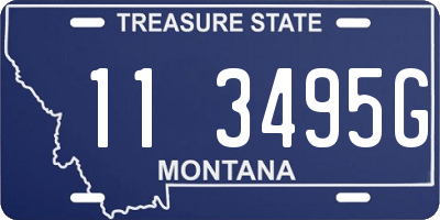 MT license plate 113495G