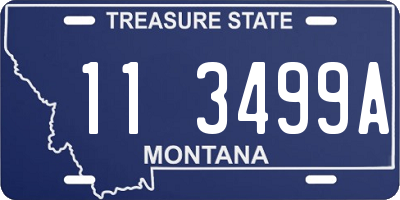MT license plate 113499A