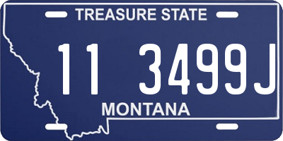 MT license plate 113499J