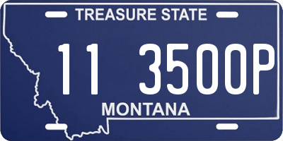 MT license plate 113500P