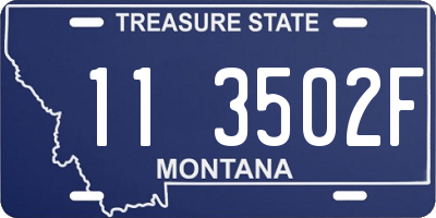 MT license plate 113502F