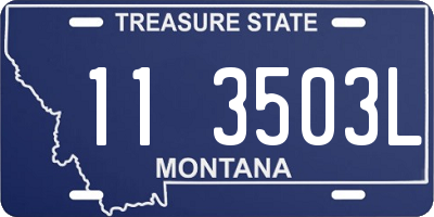 MT license plate 113503L