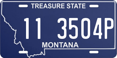 MT license plate 113504P