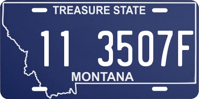 MT license plate 113507F