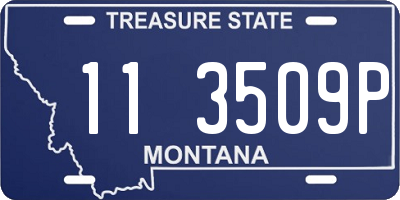 MT license plate 113509P