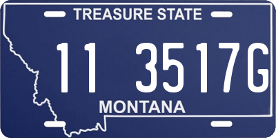 MT license plate 113517G