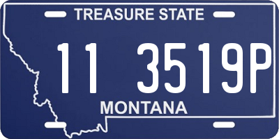 MT license plate 113519P