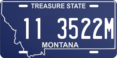 MT license plate 113522M