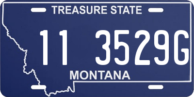 MT license plate 113529G
