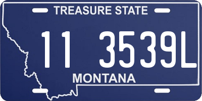 MT license plate 113539L