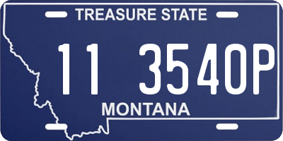 MT license plate 113540P