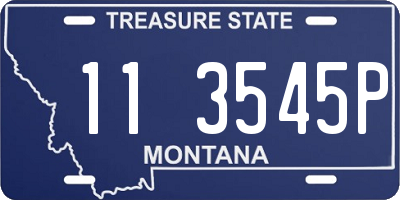 MT license plate 113545P