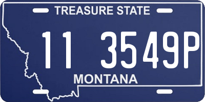 MT license plate 113549P