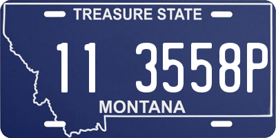 MT license plate 113558P