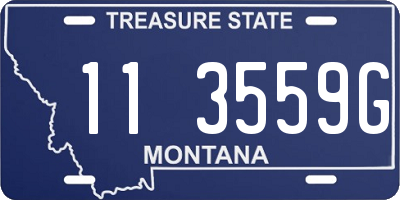 MT license plate 113559G