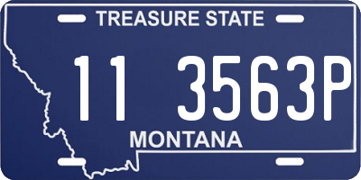 MT license plate 113563P