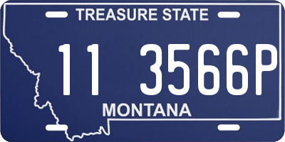 MT license plate 113566P