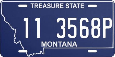 MT license plate 113568P