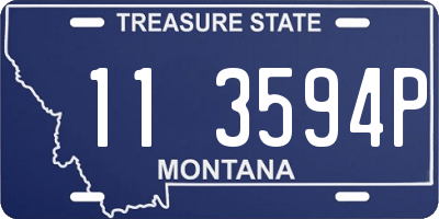 MT license plate 113594P