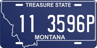 MT license plate 113596P