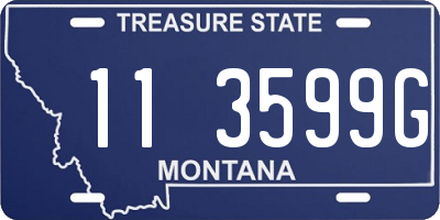 MT license plate 113599G