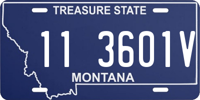 MT license plate 113601V