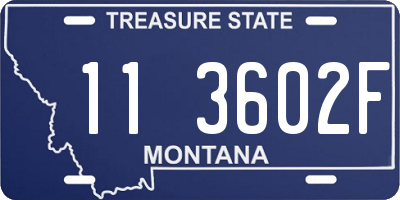 MT license plate 113602F