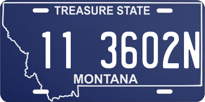 MT license plate 113602N