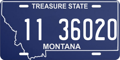MT license plate 113602O