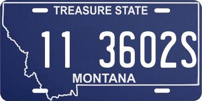 MT license plate 113602S