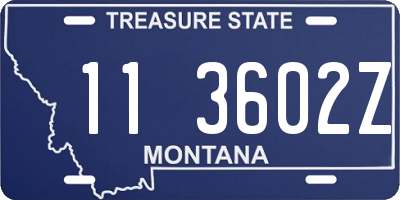 MT license plate 113602Z