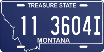 MT license plate 113604I