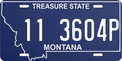 MT license plate 113604P